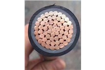 行业首款高层建筑专用防火电线问世 千亿国际电缆领跑 行业首款高层建筑专用防火电线问世 千亿国际电缆领跑