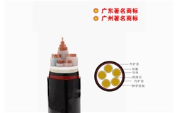 ZC-YJV 0.6/1kV花城电缆 铜芯交联聚乙烯绝缘聚氯乙烯护套阻燃C类电力电缆 ZC-YJV 0.6/1kV花城电缆 铜芯交联聚乙烯绝缘聚氯乙烯护套阻燃C类电力电缆