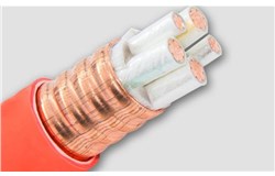 BTTZ-750V重型铜芯铜护套矿物绝缘电缆 BTTZ-750V重型铜芯铜护套矿物绝缘电缆