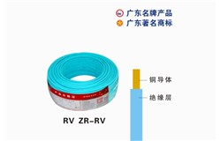 RV ZR-RV千亿国际电缆 RV ZR-RV千亿国际电缆