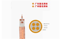 YTTW-0.6/1kV矿物质电缆 YTTW-0.6/1kV矿物质电缆