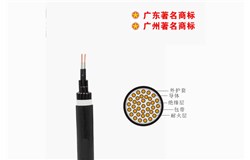 NH-KVV- 450/750V铜芯聚氯乙烯绝缘聚氯乙烯护套耐火控制电缆 NH-KVV- 450/750V铜芯聚氯乙烯绝缘聚氯乙烯护套耐火控制电缆