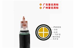 ZA-YJV32-0.6/1kV交联聚乙烯绝缘细钢丝铠装聚氯乙烯护套电力电缆 ZA-YJV32-0.6/1kV交联聚乙烯绝缘细钢丝铠装聚氯乙烯护套电力电缆